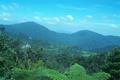 The highlands of west-central Malaysia