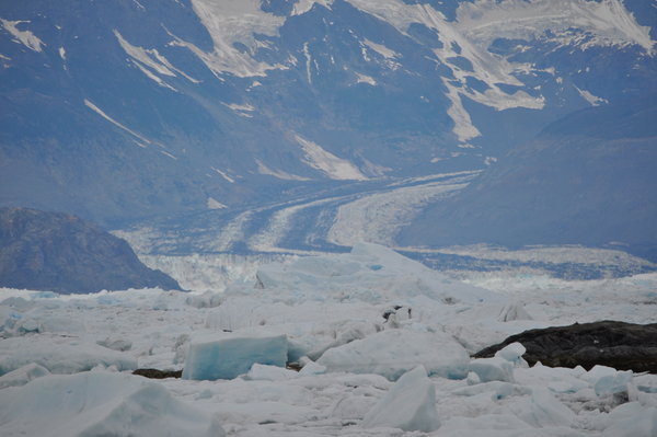 the columbia glacier - seven miles was as close as we could get for all the ice