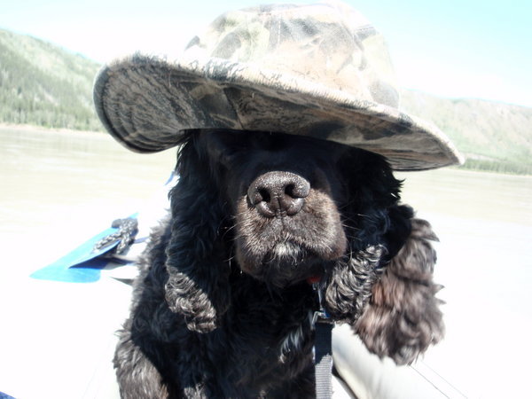 the sun was hot out on the water and echo demanded a hat