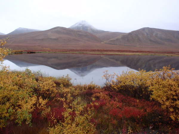 along the dempster highway