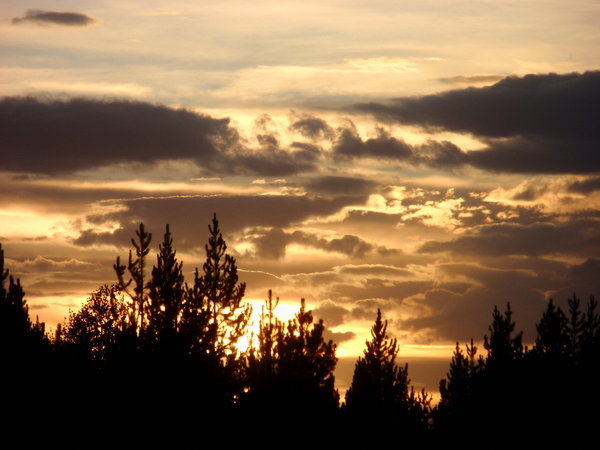montana sunset