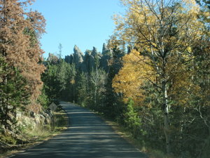 Along the aptly named "Needles Highway" in Custer State Park