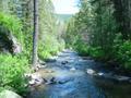 little blackfoot river