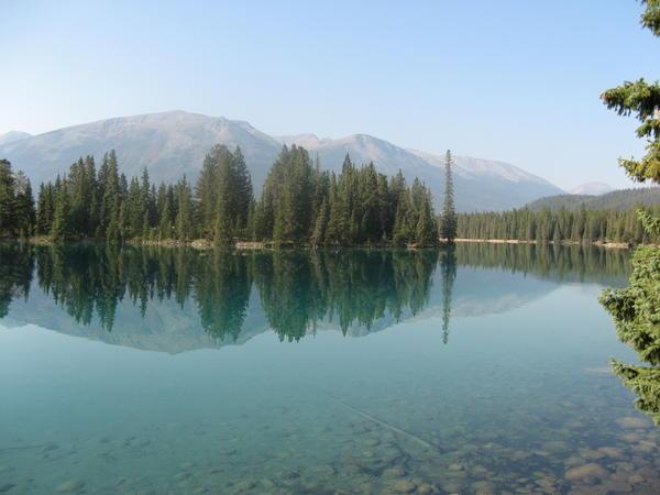 view from the jasper lodge 