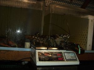 Lobster Pot, Provincetown, Cape Cod, sept24 2010 (3)