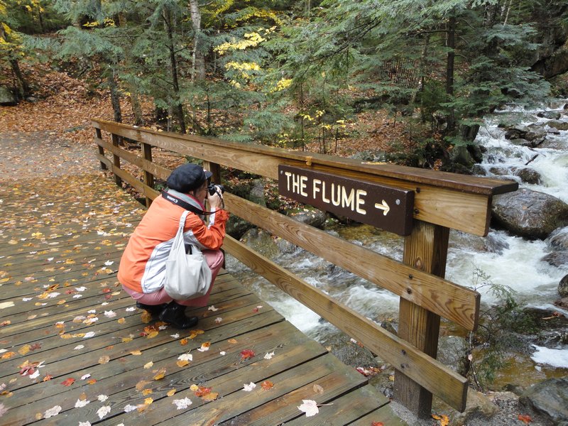 New Hampshire, White Mountains, Flume Gorges, Oct15 2010 (5)