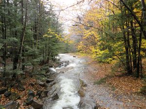New Hampshire, White Mountains, Flume Gorges, Oct15 2010 (29)