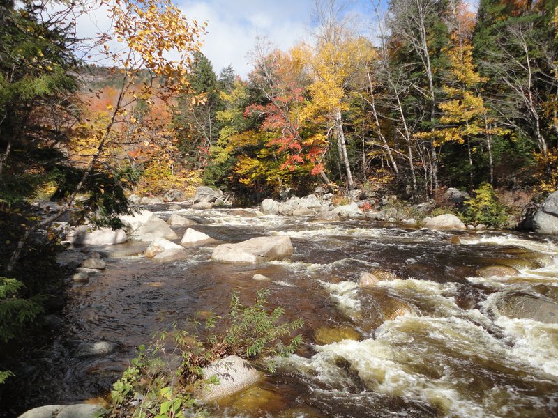 New Hampshire, White Mountains, Kancamagus Highway, Lower Falls, Oct16 2010