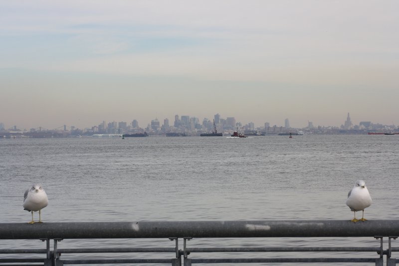 NYC, view from Staten Island, Dec16 2010 (8)