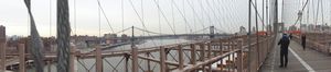 NYC, view from the Brooklyn Bridge, Dec16 2010 (1)
