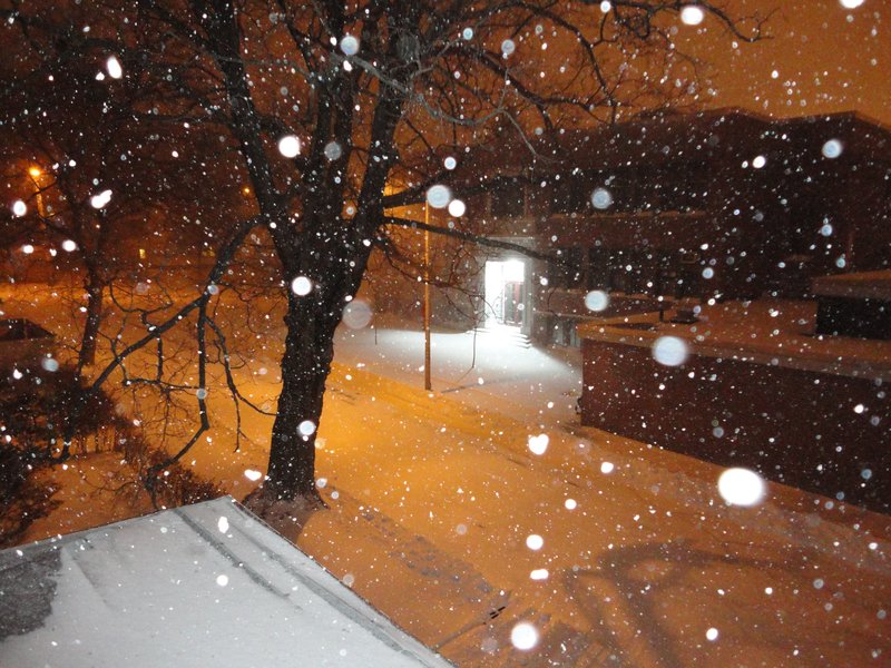 Snow storm,Dec26 2010