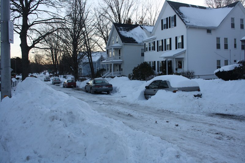 Snow, Jan14 2011 (1)