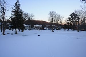 Snow, Jan14 2011 (17)