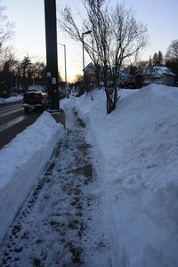 Snow, Jan14 2011 (21)