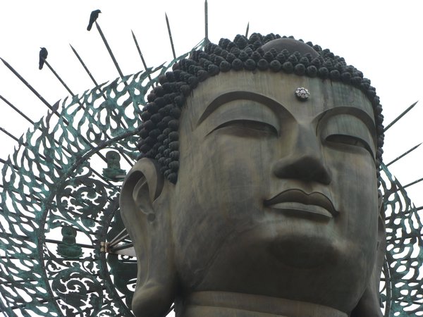 Buddha's Head