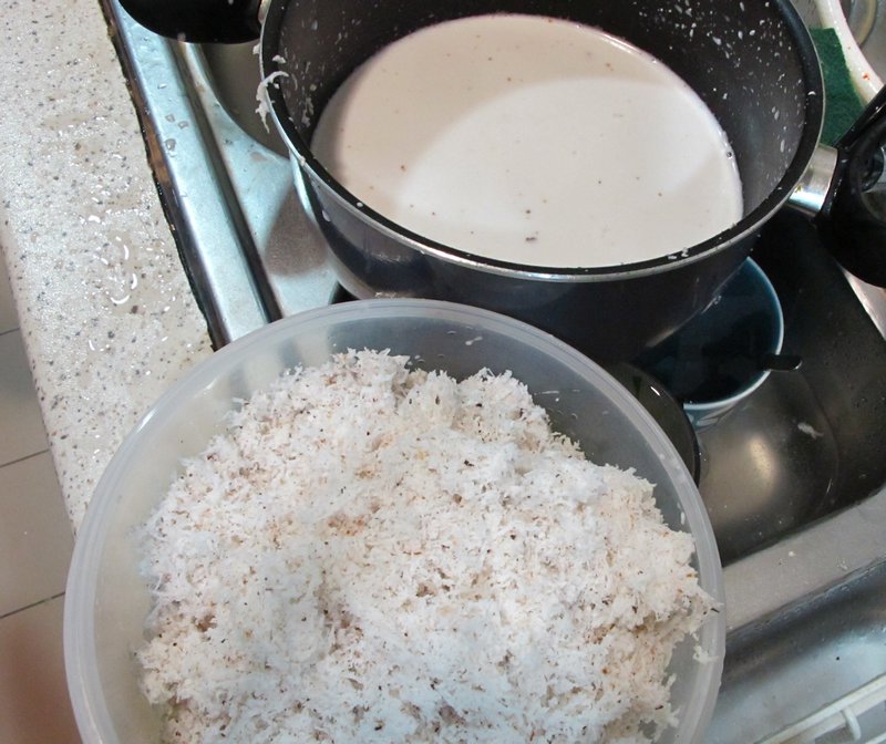 Coconut Flakes & Another Batch of Coconut Milk