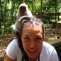 Monkey: What did I just eat?! Me: It's pulling my hair!