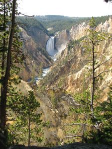 Chute de la rivière Yellowstone et son canyon (une partie)