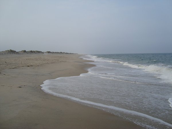 Assateague Beach National Shore