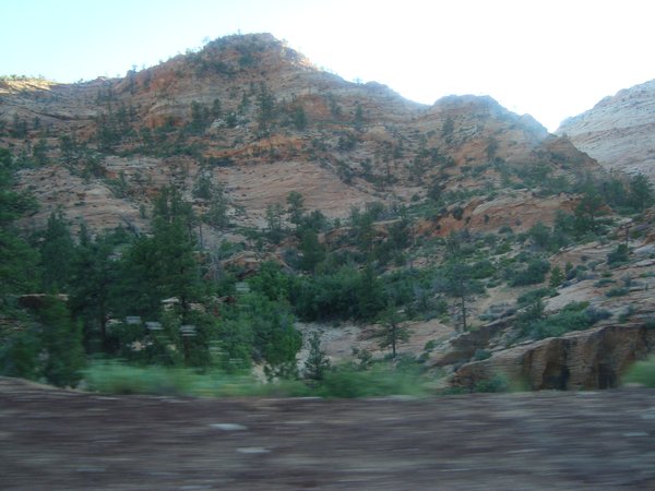 More from Zion
