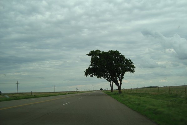 The flat plains of Texas