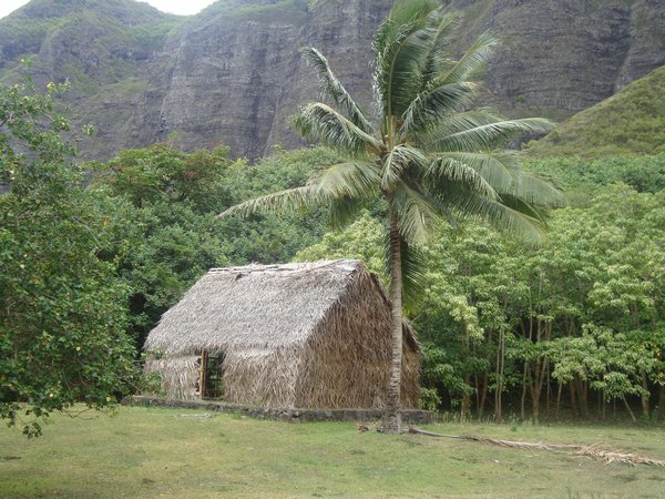 Polynesian style cottage