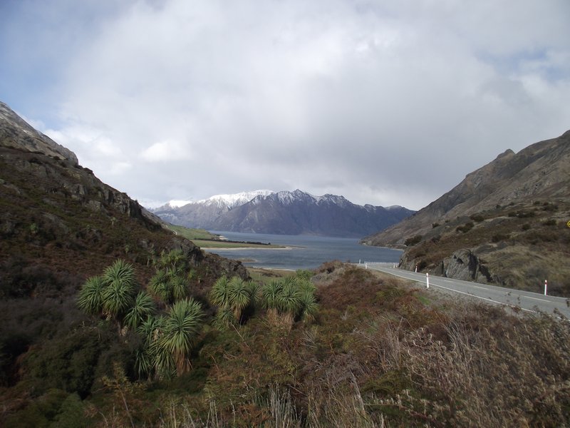 Emerging from the Haast Pass