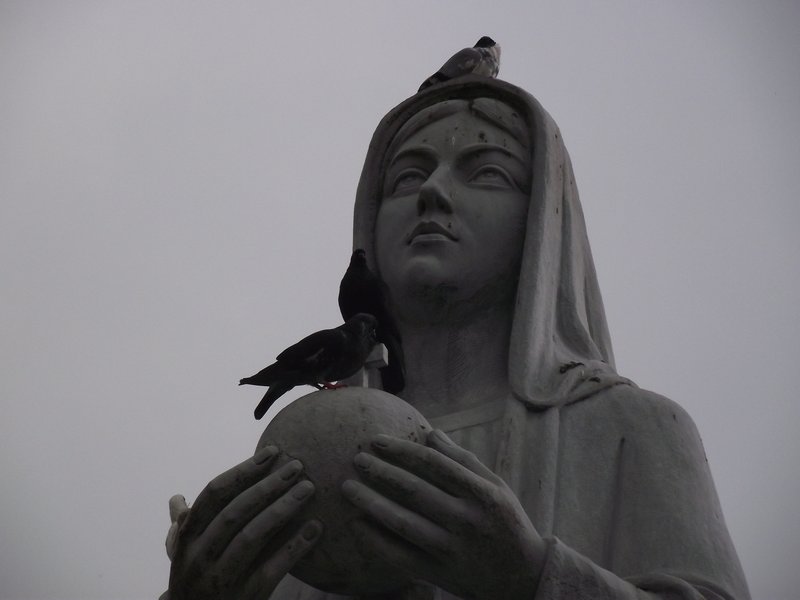 Birds on the statue