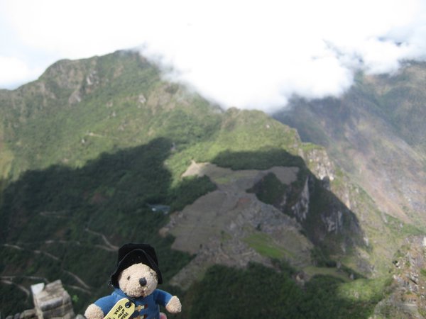Day 5 - Paddington makes it up Waynu Picchu too