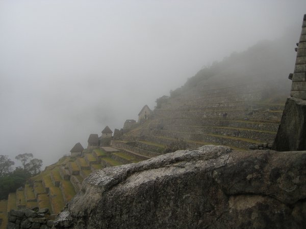 Day 5 - Misty misty Machu Picchu