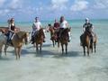 Horseback riding in Cayman