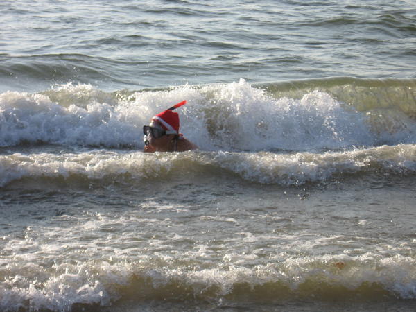 Father Christmas Snorkelling?