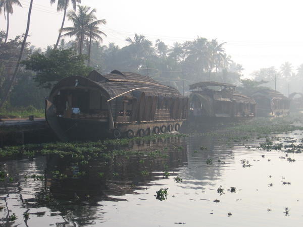 Houseboats on canal at Alleppey