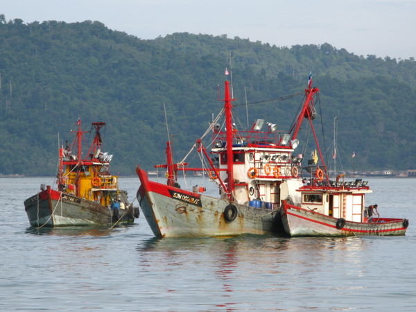Fishing boats at Kota Kinabalu
