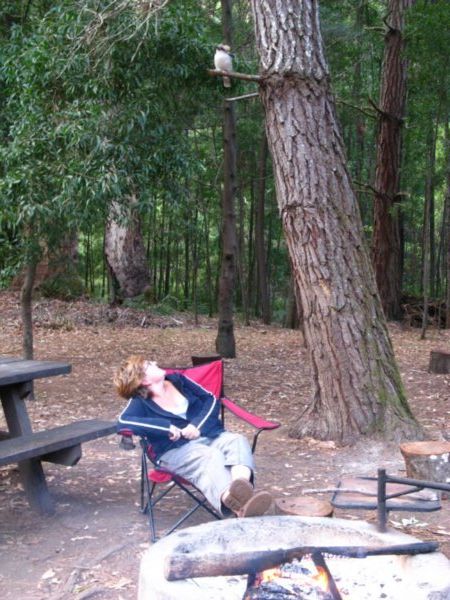 Camp mate at Big Brook Arboretum