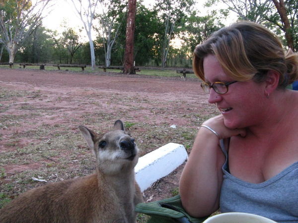 Claire and wallaby