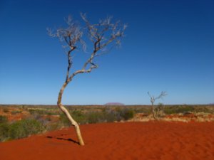 Uluru from a Distance