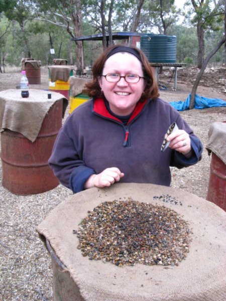 Fossicking for Sapphires