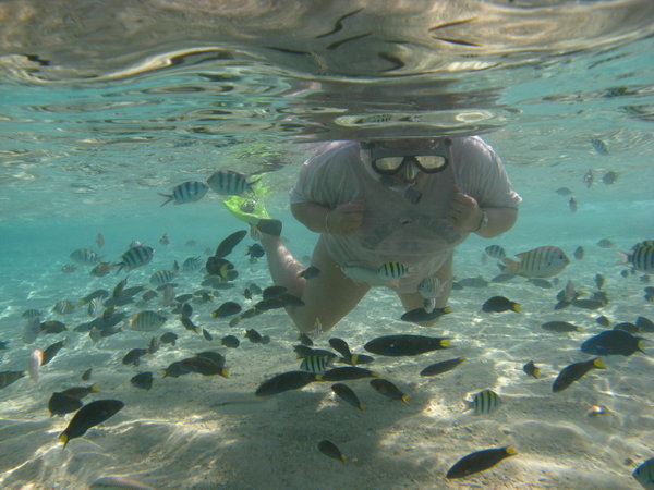 Snorkelling at Pulau Rawa