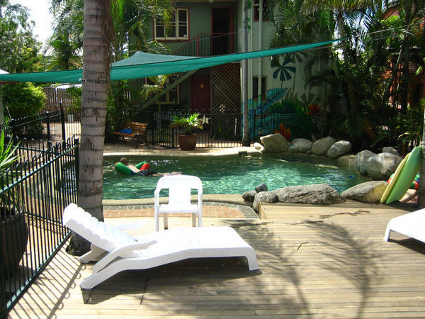 Tropical Oasis Pool