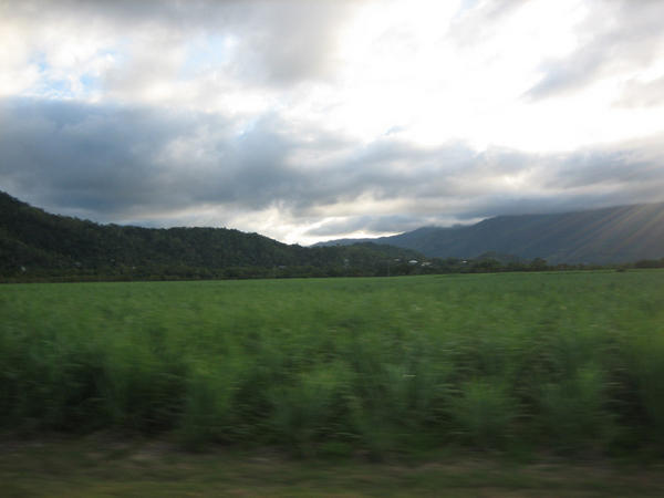 A view for much of Queensland