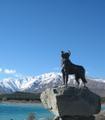 Statue of a sheep dog at Lake Tekapo
