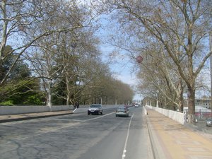 The Plane Tree Alley
