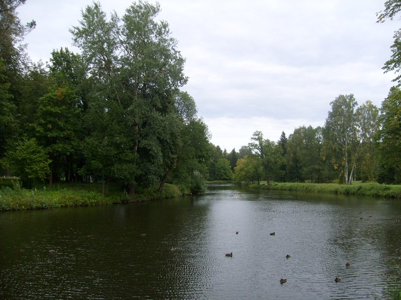 A Lake in Pavlovsk