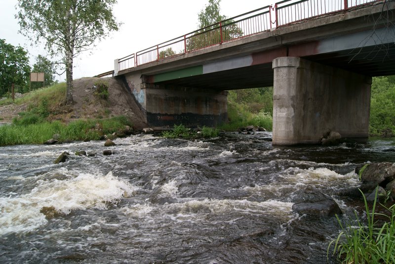 Rapids under the Bridge