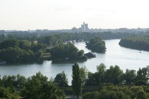 Rivers Dunav and Sava