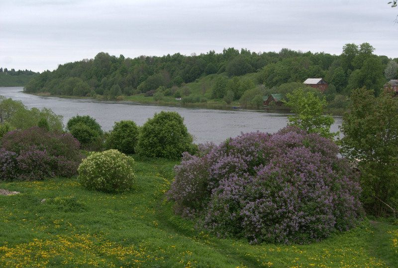 Volkhov River