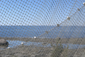 Fishing Net