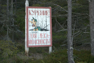 Do Not Smoke in the Forest!