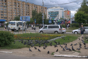 Serpukhov Street